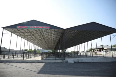 Xaçmazda heyvan bazarı fəaliyyətə başladı