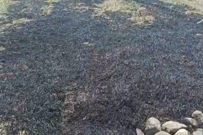 Oğuzda yanğın törədən şəxs məsuliyyətə cəlb olunub