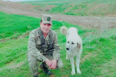 Vətən müharibəsi şəhidimizin doğum günüdür