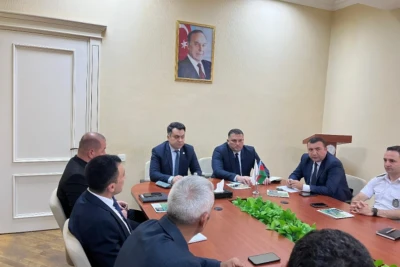 Şimalın bəzi kəndlərində Amerika ağ kəpənəyi yayılıb