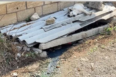 Şamaxıda 30 illik kanalizasiya problemi: çirkab suları küçəyə axıdılır