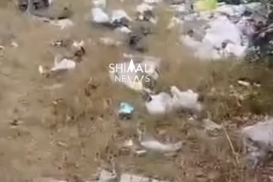 Oğuzda yol kənarı zibilliyə çevrildi
