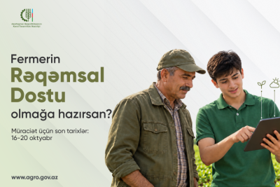 Şimalın 11 rayonunda könüllülər axtarılır – Müraciət üçün son gün