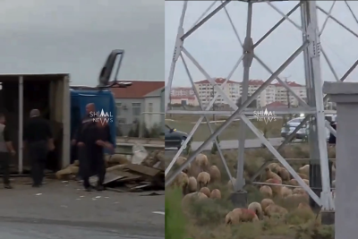 Quba-Bakı yolunda qoyunları daşıyan yük maşını aşıb